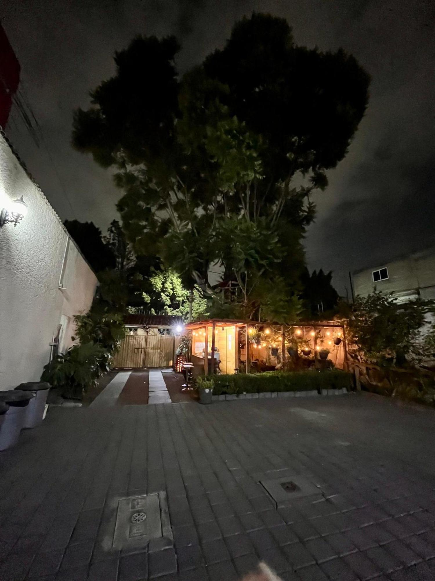 Casita Del Arbol Apartment Mexico City Exterior photo