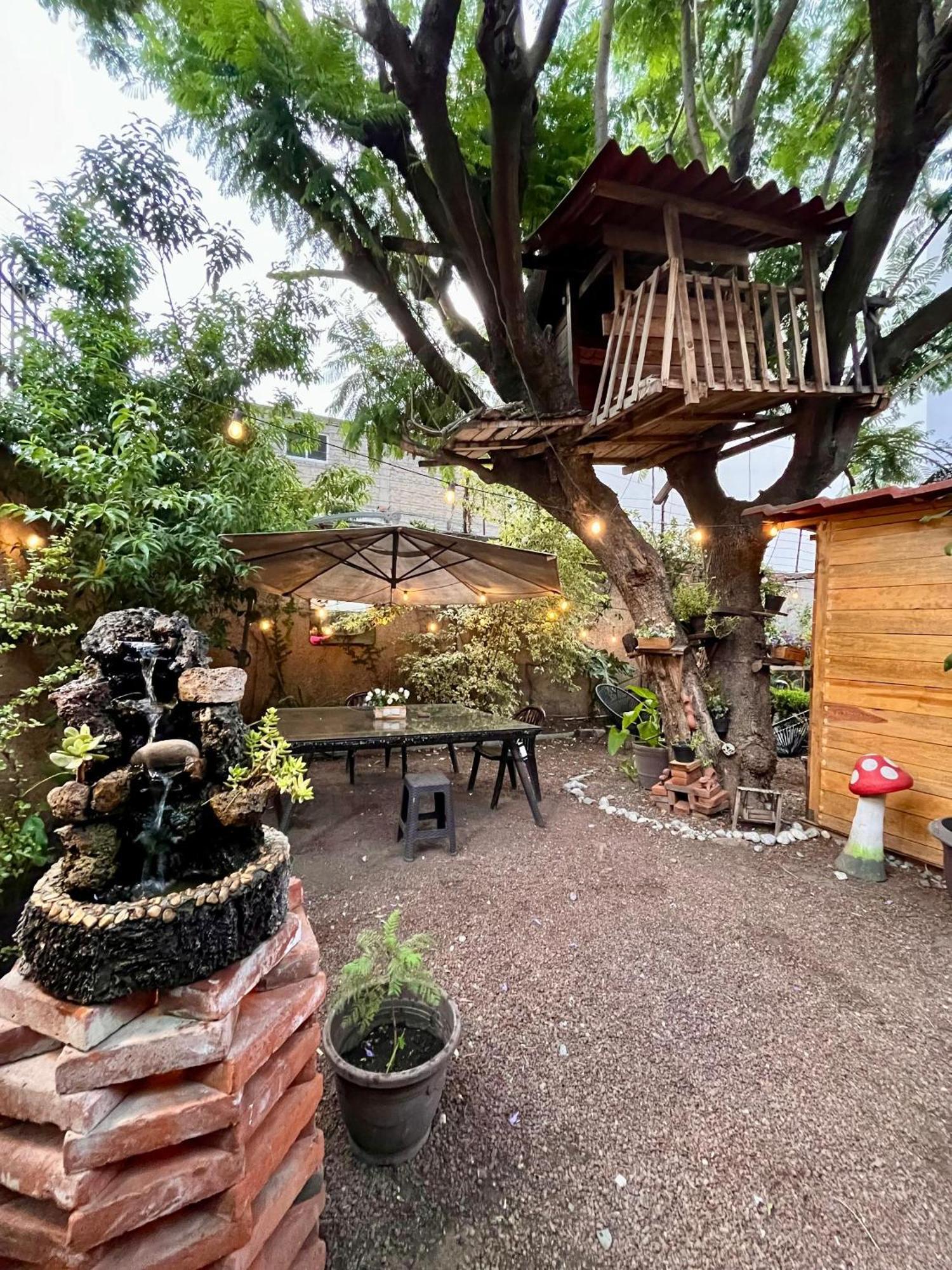 Casita Del Arbol Apartment Mexico City Exterior photo