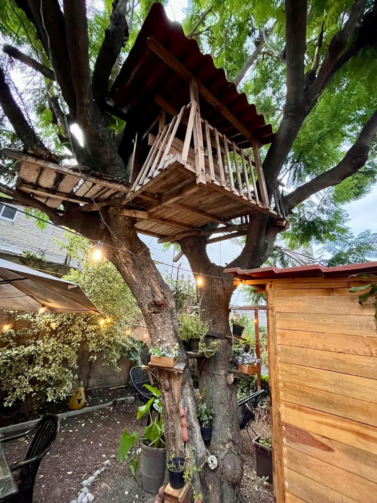 Casita Del Arbol Apartment Mexico City Exterior photo