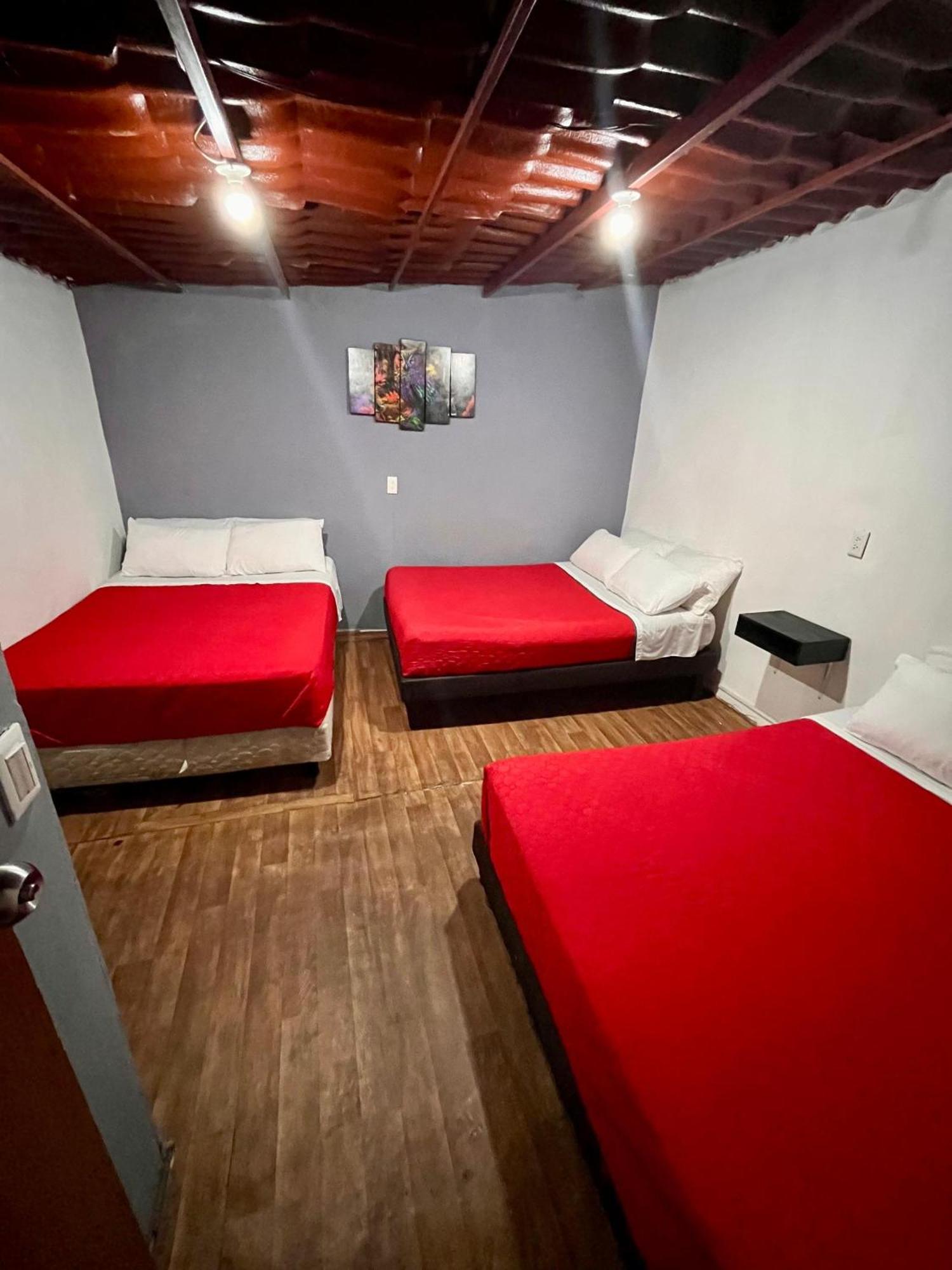 Casita Del Arbol Apartment Mexico City Exterior photo