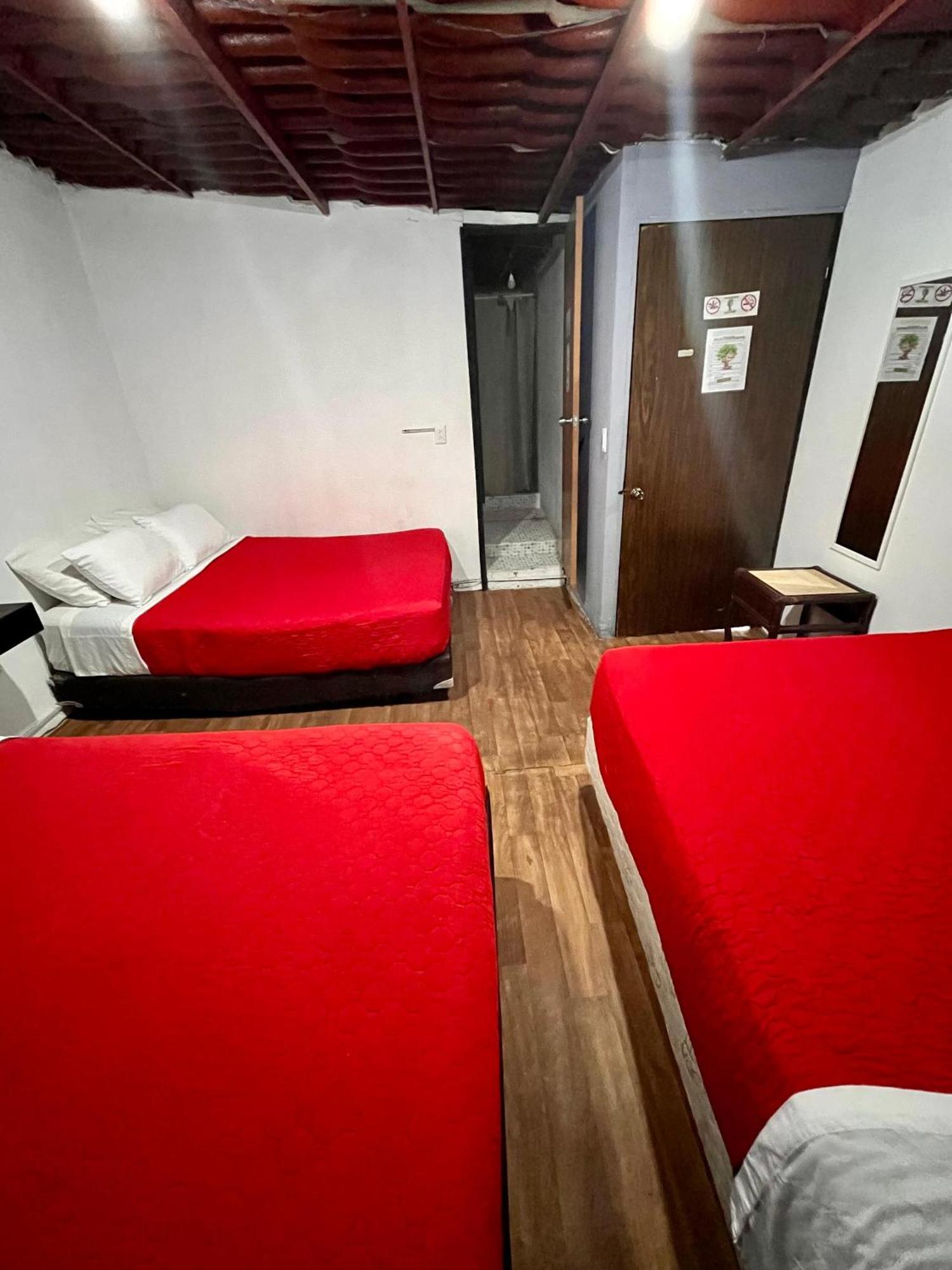 Casita Del Arbol Apartment Mexico City Exterior photo