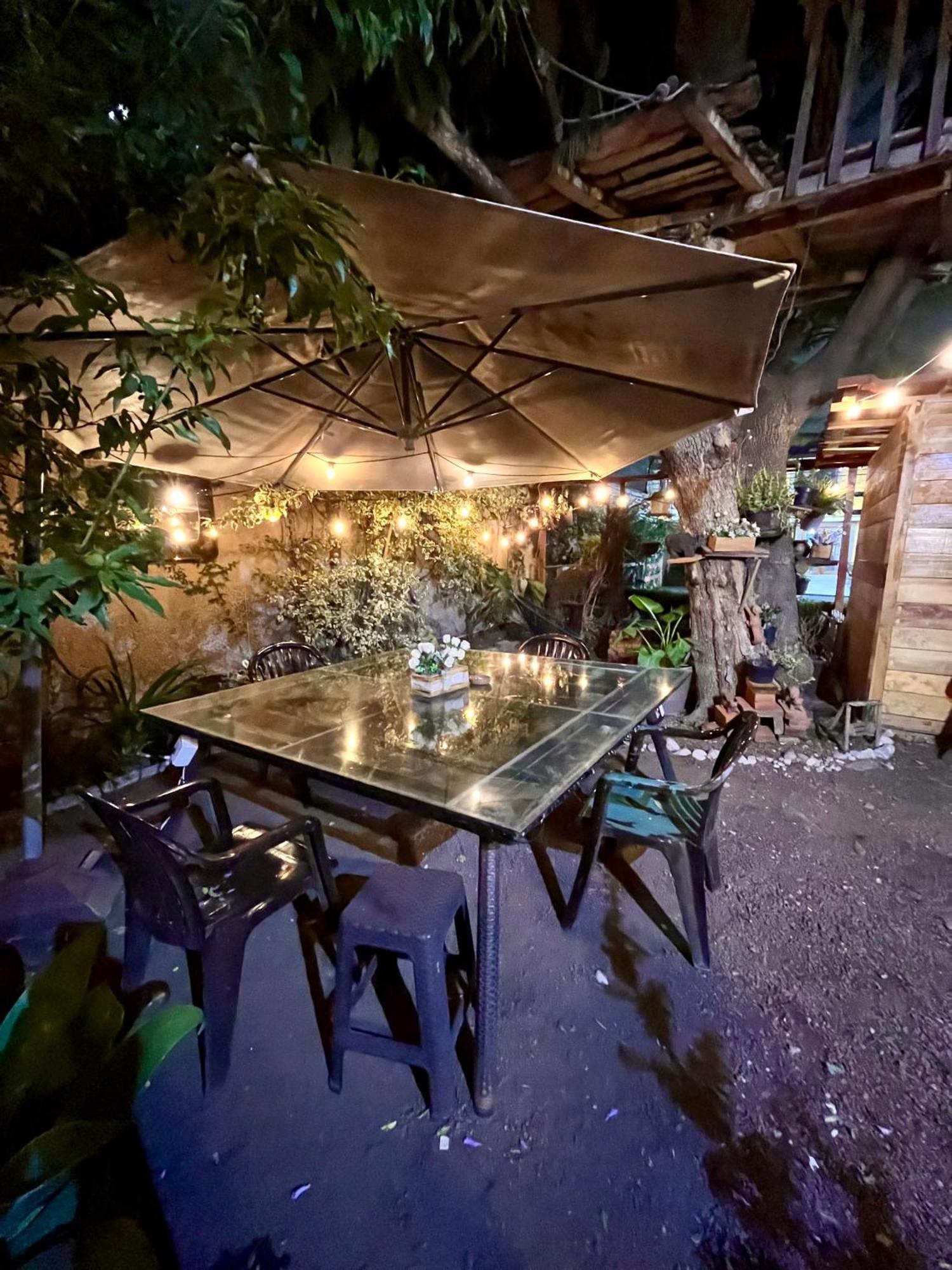 Casita Del Arbol Apartment Mexico City Exterior photo