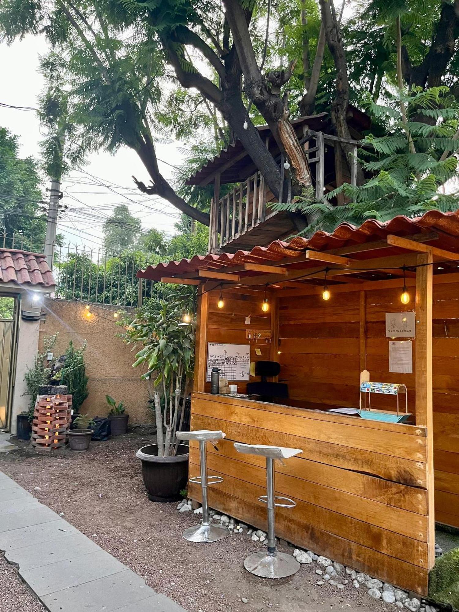 Casita Del Arbol Apartment Mexico City Exterior photo